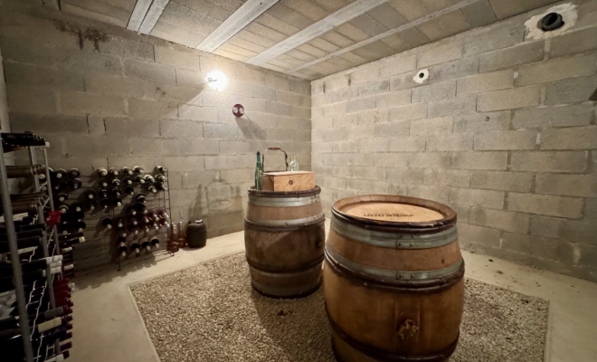 Cave enterrée MAISON DE PLAIN-PIED AVEC PISCINE, ATELIER ET DÉPENDANCES – ENVIRONNEMENT CALME ET PRÉSERVÉ, Dijon, ARYA Immobilier